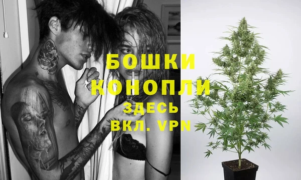 PSILOCYBIN Баксан