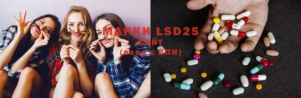 PSILOCYBIN Баксан
