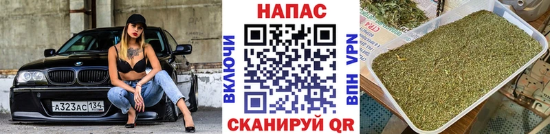 Шишки марихуана THC 21%  где купить наркоту  Вольск 